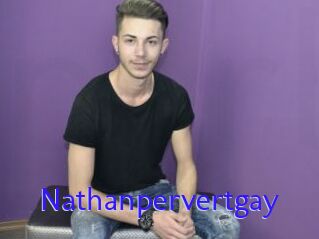 Nathanpervertgay