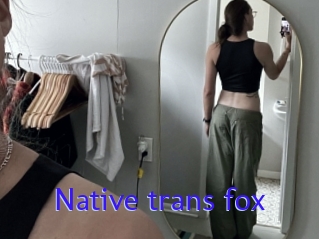 Native_trans_fox
