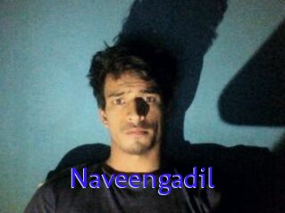 Naveengadil