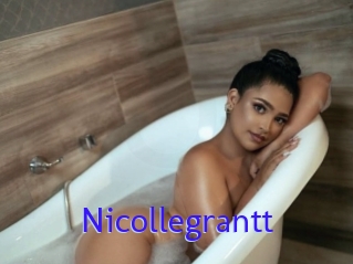 nicollegrantt Porno Bild