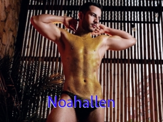 Noahallen
