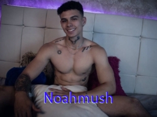 noahmush Porno Bild