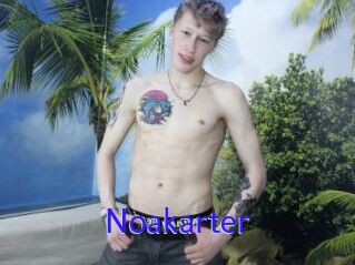 Noakarter