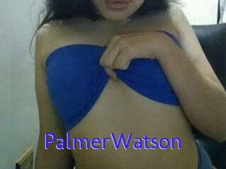 PalmerWatson