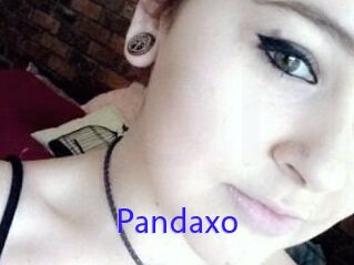 Pandaxo