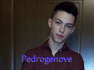 Pedrogenove