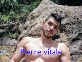 Pierre_vitale