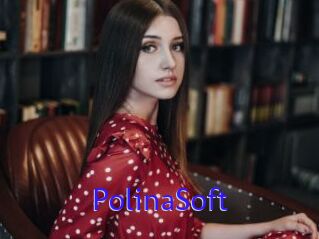 PolinaSoft