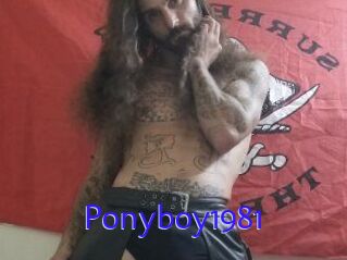 Ponyboy1981