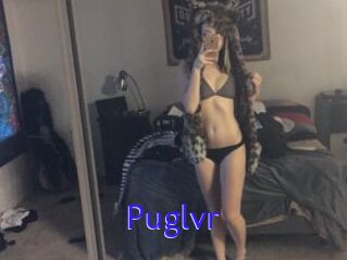 Puglvr