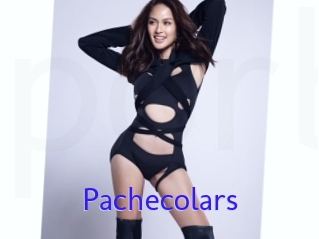 Pachecolars