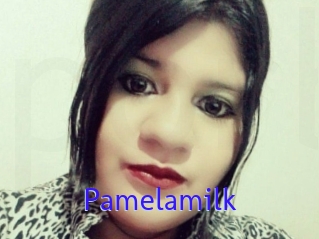 Pamelasuite