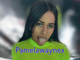 Pamelawaynex