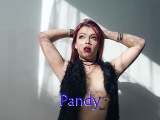 Pandy