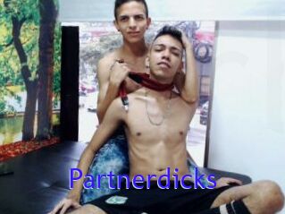 Partnerdicks
