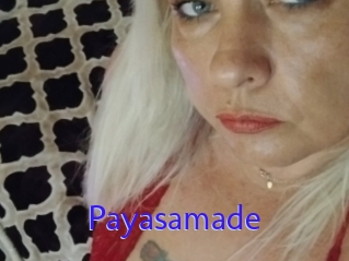 Payasamade