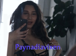 Paynadiavixen