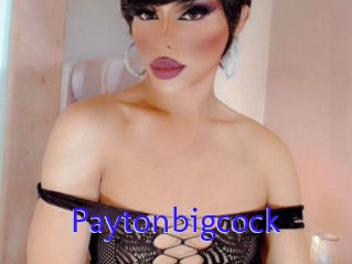 Paytonbigcock