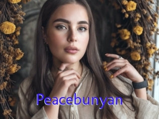 Peacebunyan