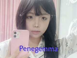 Penegemma