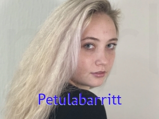 Petulabarritt