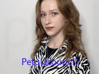 Petulacouncil