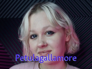 Petulagallamore