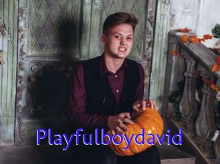 Playfulboydavid