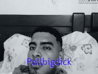 Pollbigdick