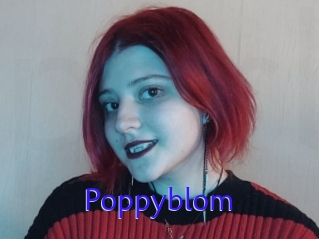 Poppyblom