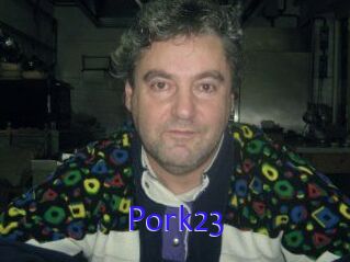pork23 Porno Bild
