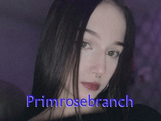 Primrosebranch