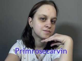 Primrosecarvin