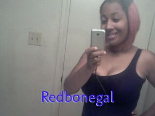 Redbonegal