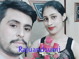 Rajuandsumi