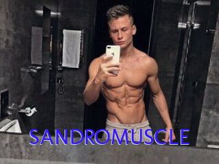 SANDRO_MUSCLE