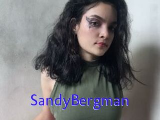 SandyBergman