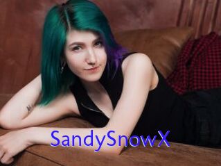 SandySnowX
