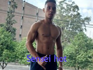 Sensei_hot