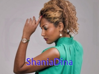 ShaniaDina Porno Bild