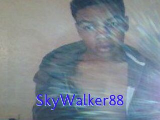 SkyWalker88