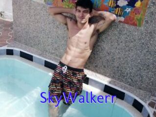 SkyWalkerr
