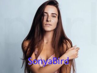 SonyaBird