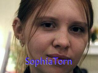 SophiaTorn