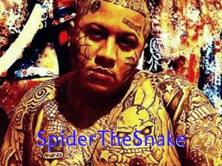 SpiderTheSnake