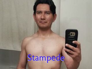 Stampede