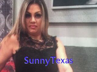 SunnyTexas