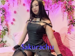 Sakurachu