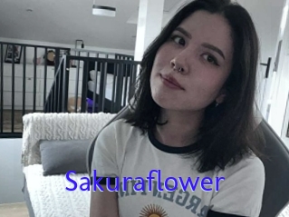 Sakuraflower