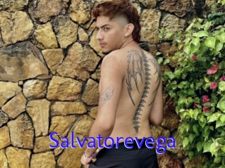 Salvatorevega